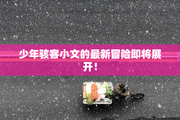 少年骇客小文的最新冒险即将展开！