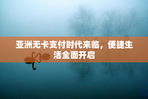 亚洲无卡支付时代来临，便捷生活全面开启