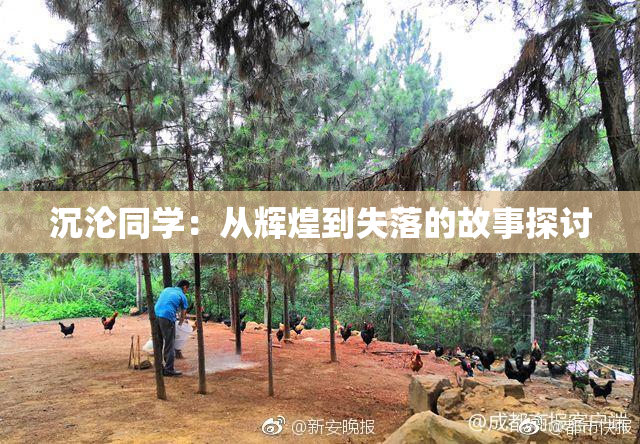 沉沦同学：从辉煌到失落的故事探讨