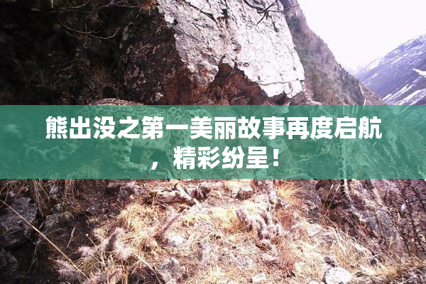 熊出没之第一美丽故事再度启航，精彩纷呈！