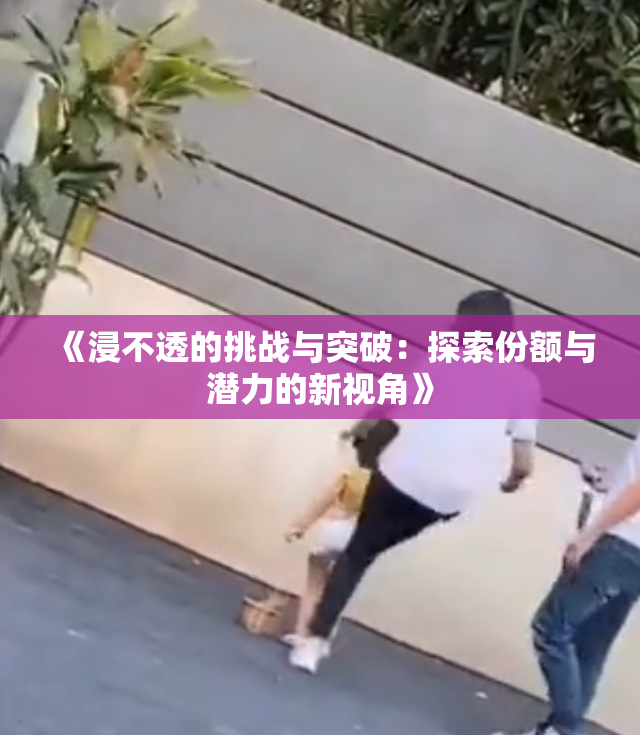 《浸不透的挑战与突破：探索份额与潜力的新视角》