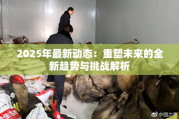 2025年最新动态：重塑未来的全新趋势与挑战解析