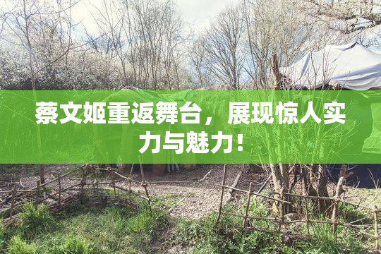 蔡文姬重返舞台，展现惊人实力与魅力！