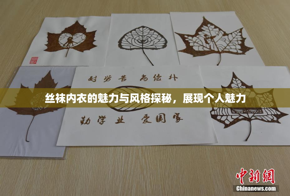 丝袜内衣的魅力与风格探秘，展现个人魅力