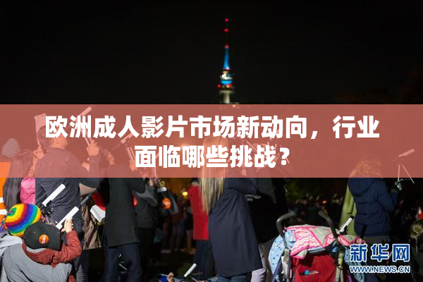 欧洲成人影片市场新动向，行业面临哪些挑战？