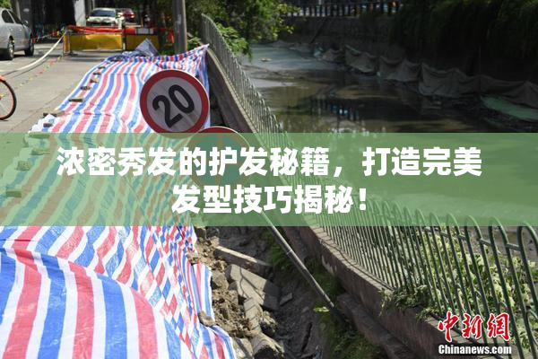 浓密秀发的护发秘籍，打造完美发型技巧揭秘！