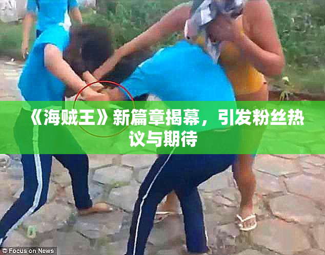 《海贼王》新篇章揭幕，引发粉丝热议与期待