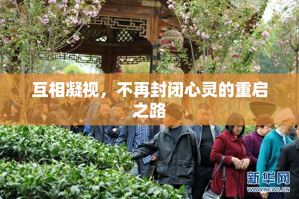 互相凝视，不再封闭心灵的重启之路