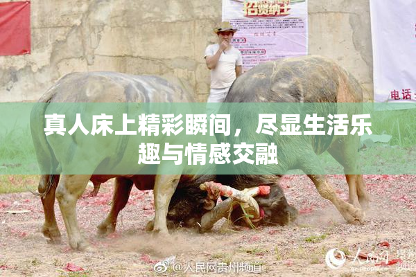 真人床上精彩瞬间，尽显生活乐趣与情感交融