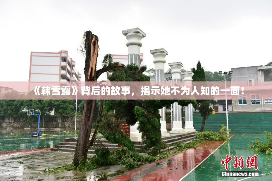 《韩雪露》背后的故事，揭示她不为人知的一面！