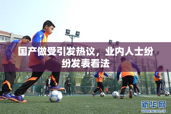 国产做受引发热议，业内人士纷纷发表看法