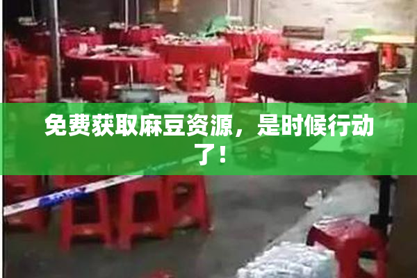 免费获取麻豆资源，是时候行动了！