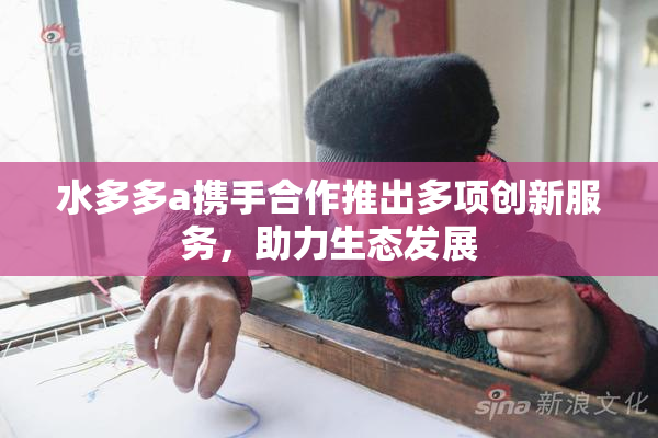 水多多a携手合作推出多项创新服务，助力生态发展