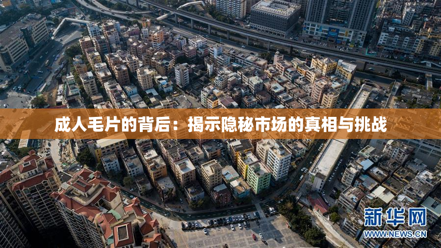成人毛片的背后：揭示隐秘市场的真相与挑战