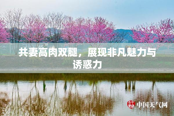 共妻高肉双腿，展现非凡魅力与诱惑力