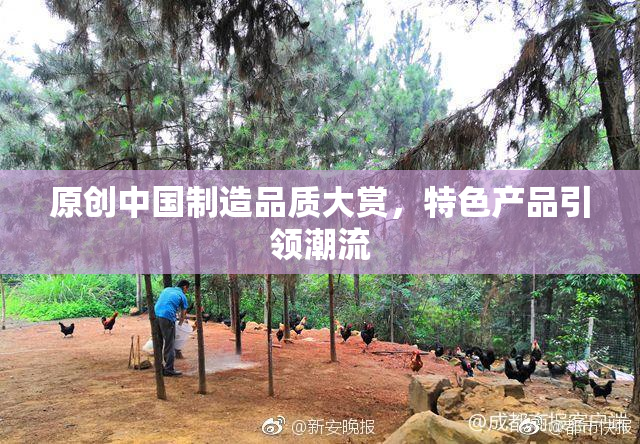 原创中国制造品质大赏，特色产品引领潮流