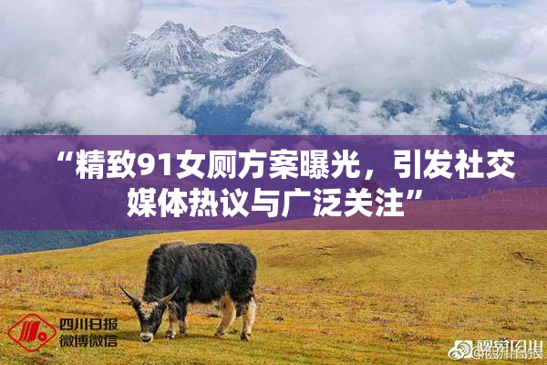 “精致91女厕方案曝光，引发社交媒体热议与广泛关注”