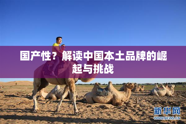 国产性？解读中国本土品牌的崛起与挑战
