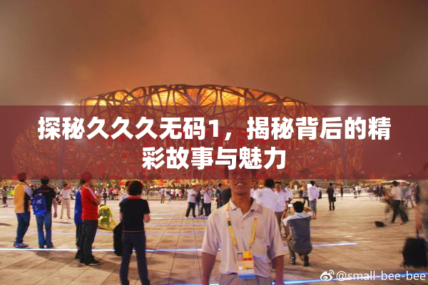 探秘久久久无码1，揭秘背后的精彩故事与魅力