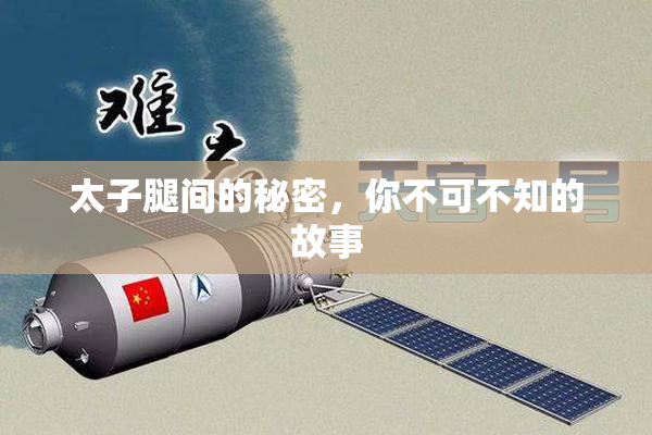 太子腿间的秘密，你不可不知的故事