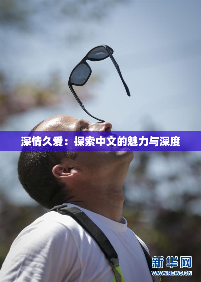 深情久爱：探索中文的魅力与深度