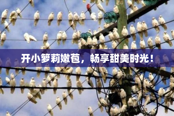 开小箩莉嫩苞，畅享甜美时光！