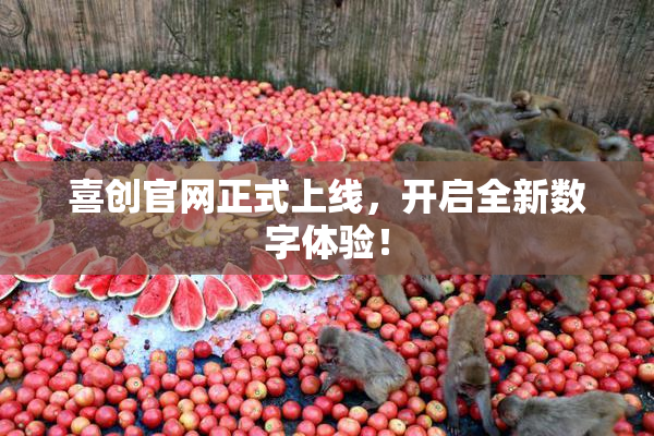 喜创官网正式上线，开启全新数字体验！
