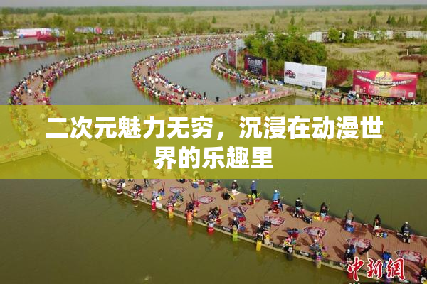 二次元魅力无穷，沉浸在动漫世界的乐趣里