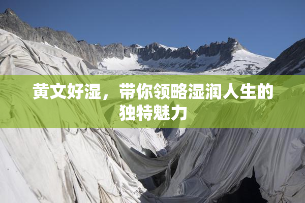 黄文好湿，带你领略湿润人生的独特魅力