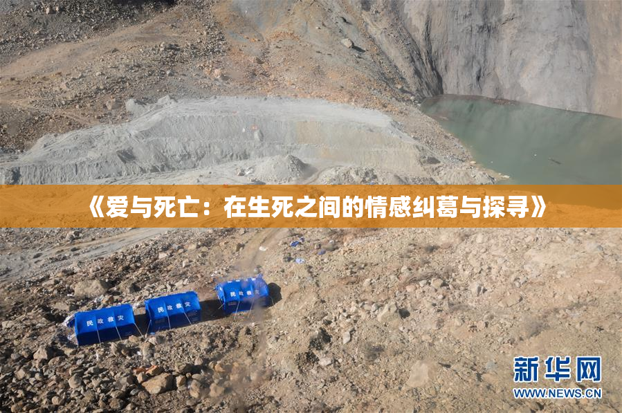《爱与死亡：在生死之间的情感纠葛与探寻》
