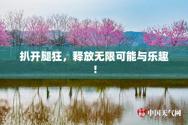 扒开腿狂，释放无限可能与乐趣！