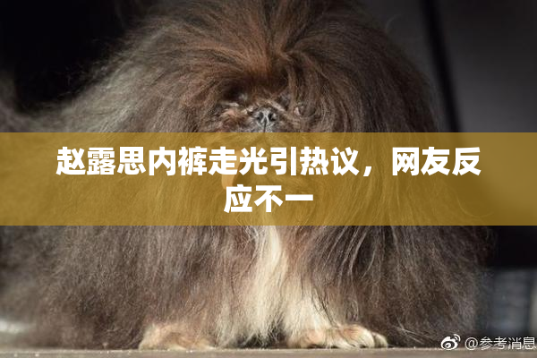 赵露思内裤走光引热议，网友反应不一