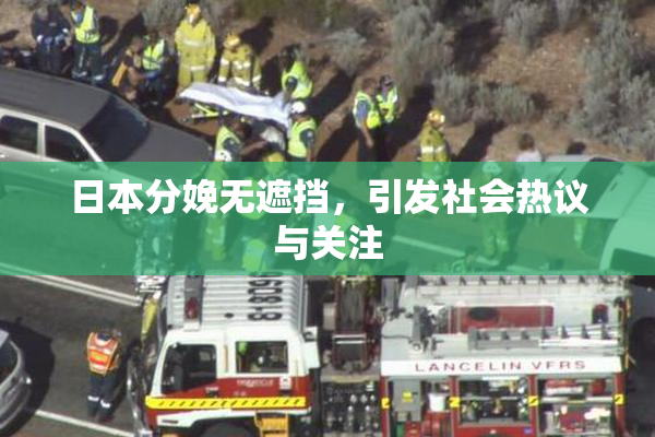 日本分娩无遮挡，引发社会热议与关注