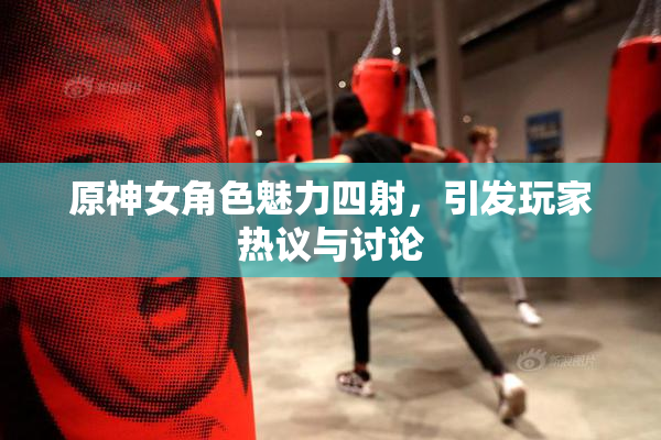 原神女角色魅力四射，引发玩家热议与讨论
