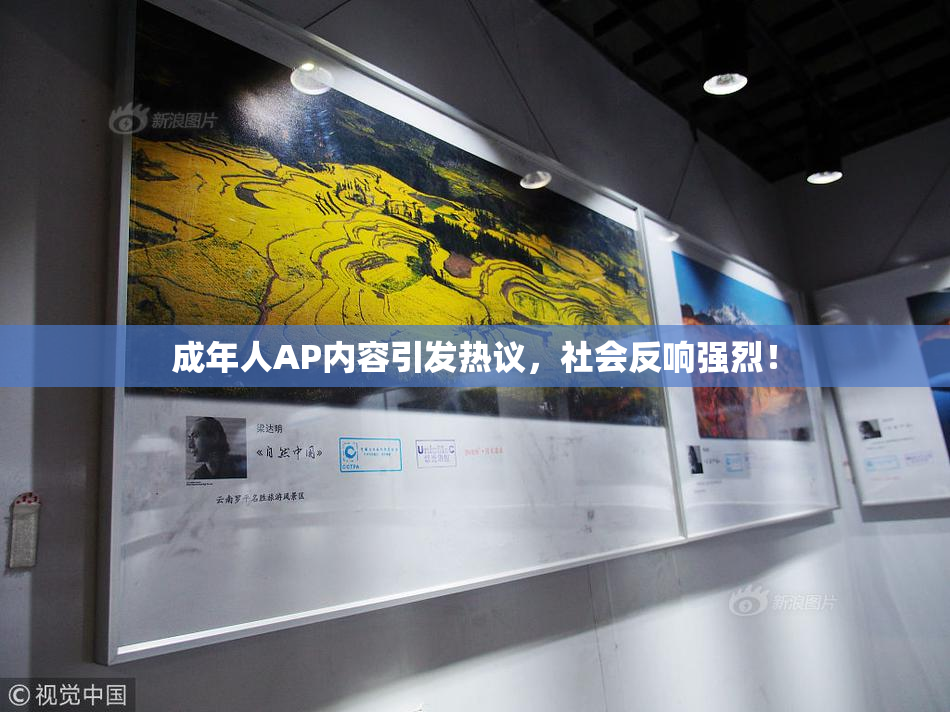 成年人AP内容引发热议，社会反响强烈！