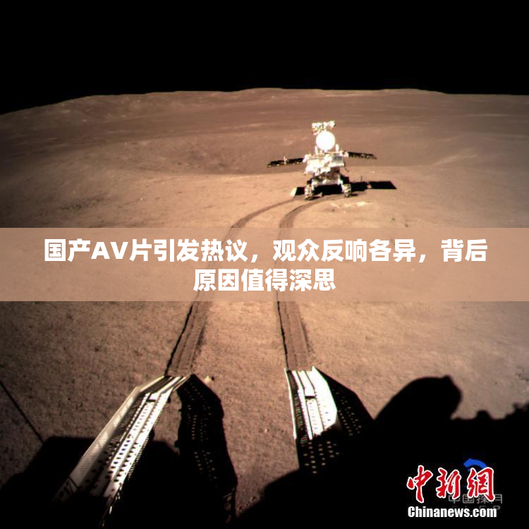 国产AV片引发热议，观众反响各异，背后原因值得深思