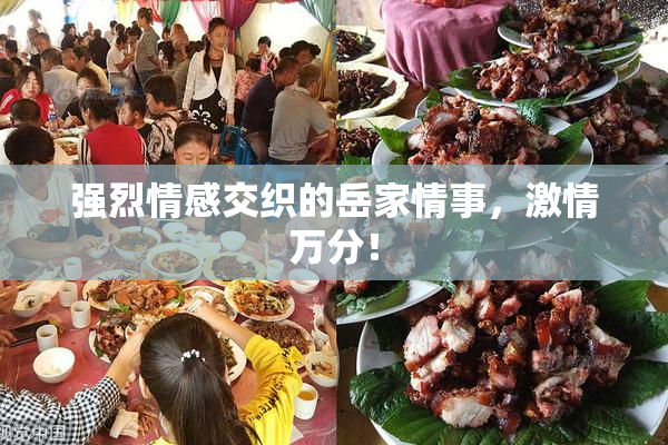 强烈情感交织的岳家情事，激情万分！