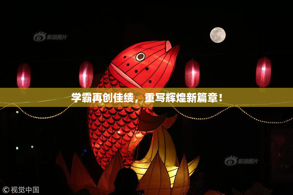 学霸再创佳绩，重写辉煌新篇章！