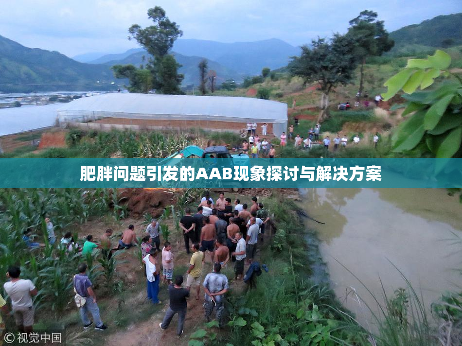 肥胖问题引发的AAB现象探讨与解决方案