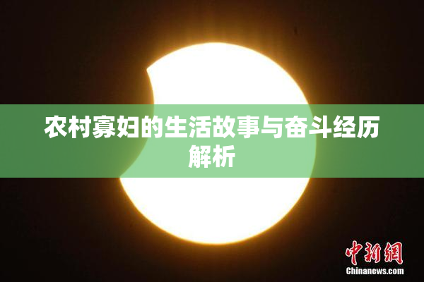 农村寡妇的生活故事与奋斗经历解析