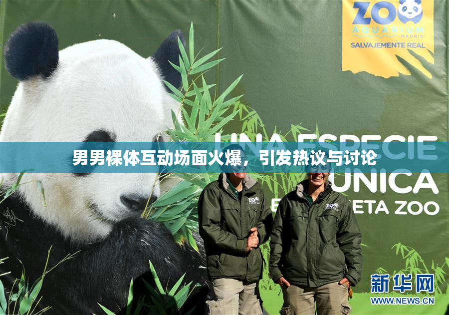男男裸体互动场面火爆，引发热议与讨论