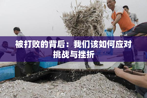 被打败的背后：我们该如何应对挑战与挫折