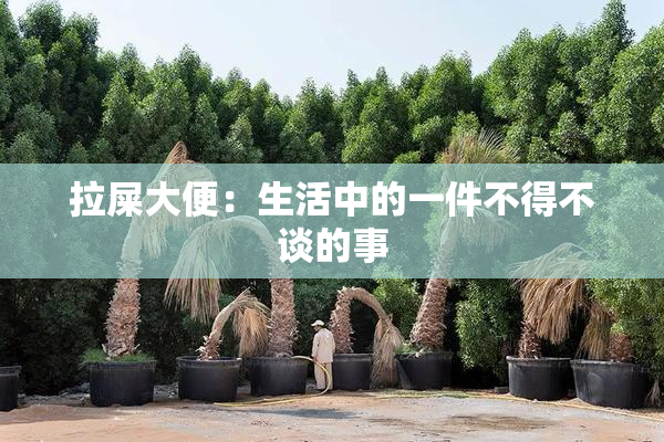 拉屎大便：生活中的一件不得不谈的事