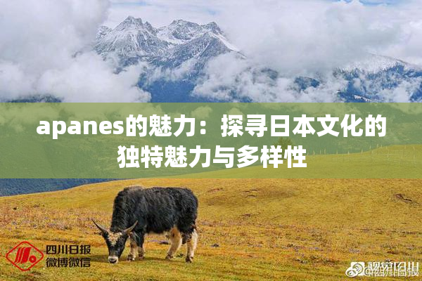 apanes的魅力：探寻日本文化的独特魅力与多样性