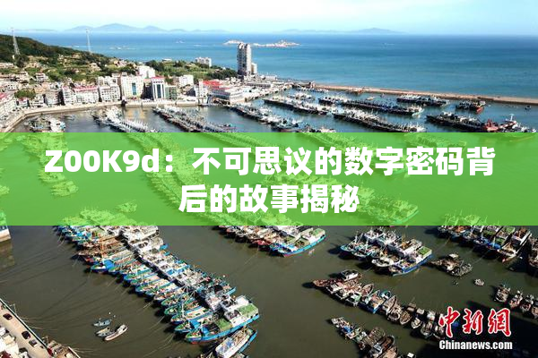 Z00K9d：不可思议的数字密码背后的故事揭秘