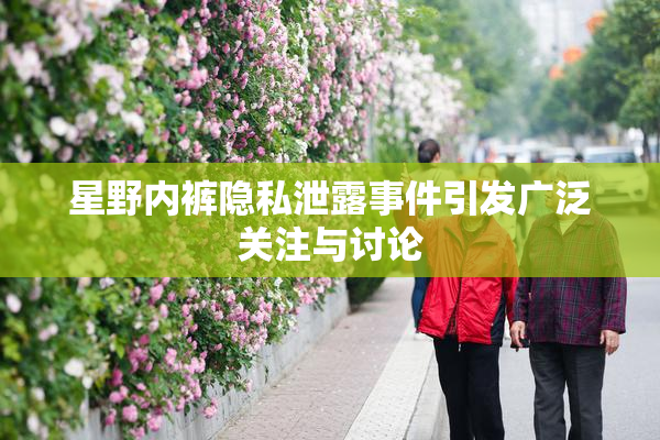 星野内裤隐私泄露事件引发广泛关注与讨论