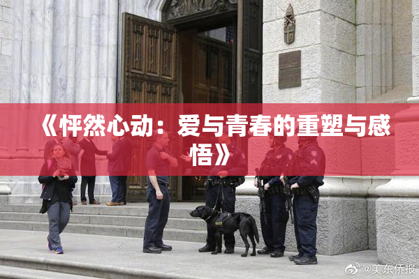 《怦然心动：爱与青春的重塑与感悟》