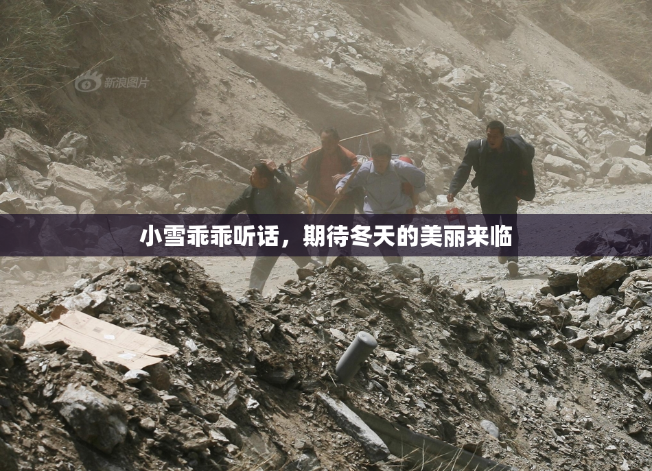 小雪乖乖听话，期待冬天的美丽来临