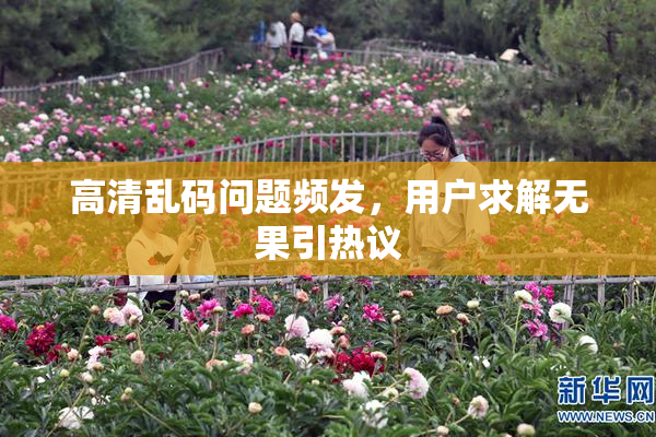 高清乱码问题频发，用户求解无果引热议