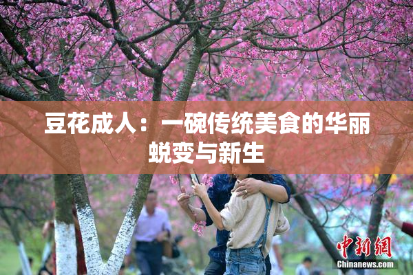 豆花成人：一碗传统美食的华丽蜕变与新生